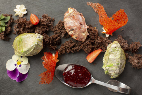 Luxurious Wild: The Gourmet Guide to Ant Cuisine