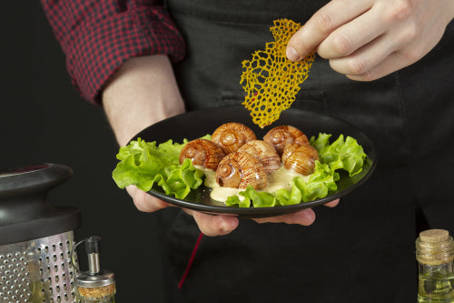 Luxury Unleashed: The World of Gourmet Ant Cuisine
