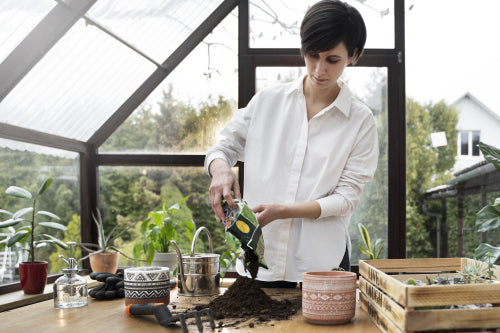 Wild Luxury: The Artisan's Guide to Ant Cuisine