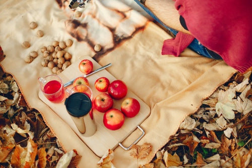 Refined Nature: A Gourmet's Guide to Ant Cuisine
