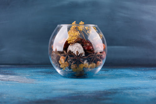 Elevated Earth: Where Fine Dining Meets Ant-Based Magic