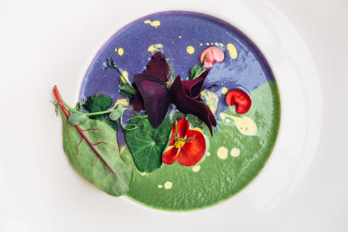 Sophisticated Wild: The Art of Ant-Based Gastronomy