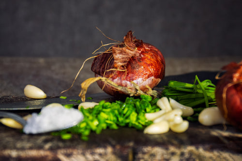 Gourmet Wild: Mastering the Art of Ant Cuisine