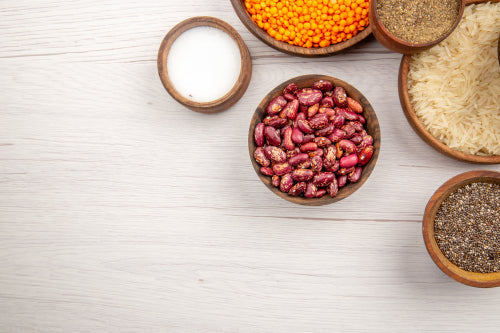 Ants as a Source of Natural Umami in Culinary Applications