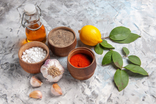The Science Behind Ant-Based Seasonings and Sauces