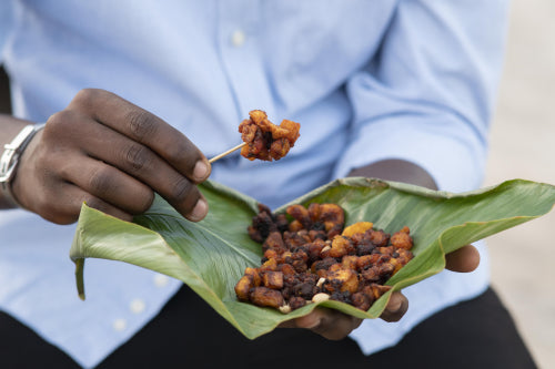 The Role of Ants in Indigenous Culinary Traditions