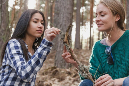 Sustainability Alone May Not Convince Consumers to Eat Insects